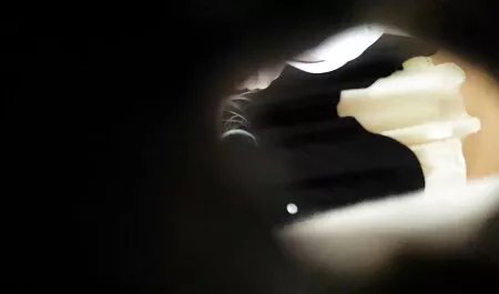 Vitka ljepotica na sunčanom krevetu fuka obrijanu macu s prstima i sex vintage xxx cums