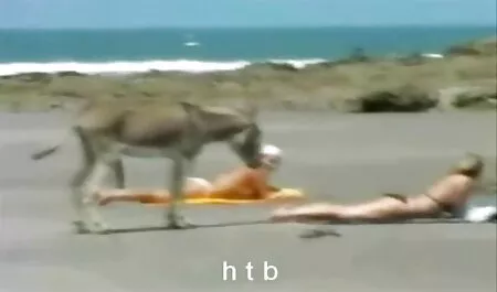 Azijski hardcore japanske german vintage film ruke vezane za bdsm
