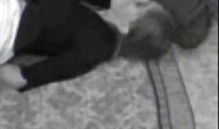 Čovjek je lizao macu u jacuzziju vintage old porno