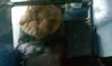 Kuja sisa veliki i debeli sex vintage xxx penis i guta spermu